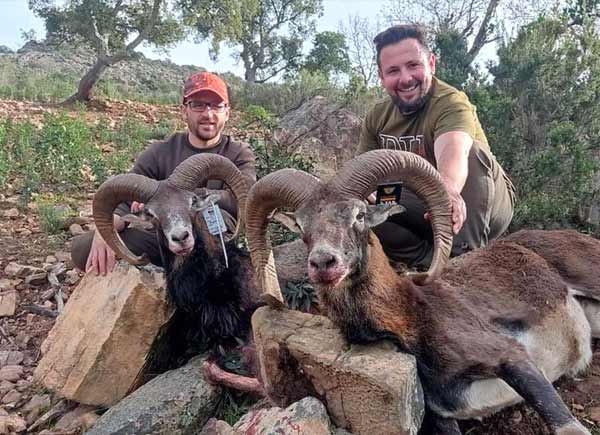 Chaqueta Caza Blaser